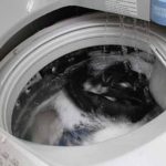 Sửa chữa máy giặt tại Từ Liêm
