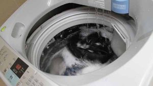 Sửa chữa máy giặt tại Từ Liêm